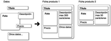 datos y fichas ejemplos de organizacion de la informacion